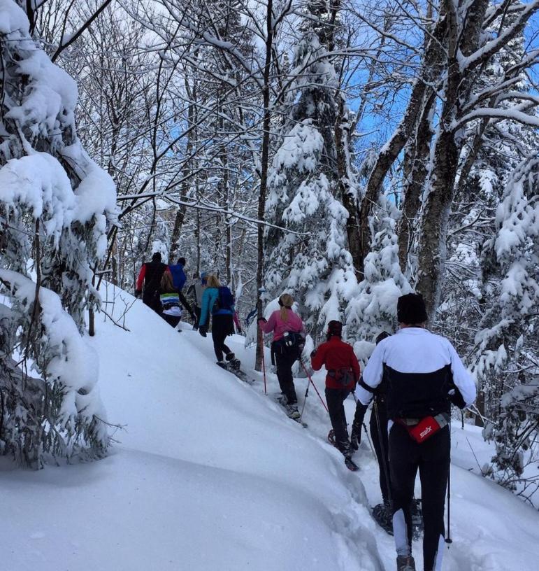Chalets Alpins - 11 Chemin Des Skieurs Стонгем Екстер'єр фото